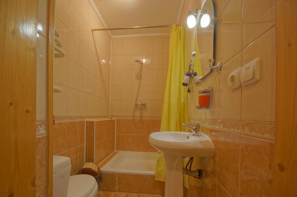 Zirka Karpat Villa Yasinya Exterior photo